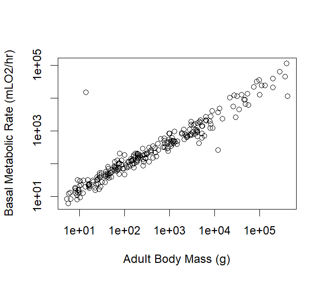 An all species log-log scatterplot of mammal adult body mass (g) vs basal metabolic rate (mLO$_2$/hr)